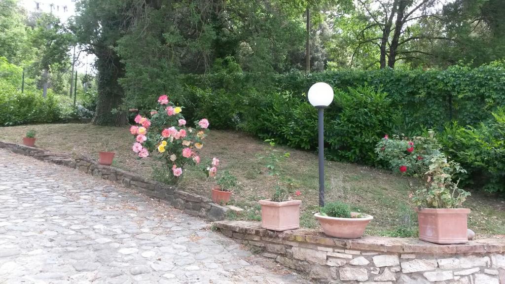 Agriturismo Il Solaio Rapolano Terme Exterior foto