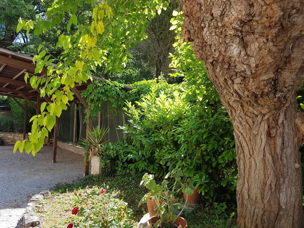 Agriturismo Il Solaio Rapolano Terme Exterior foto